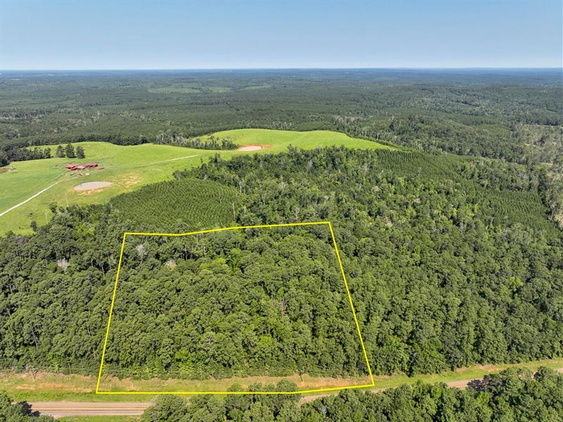 9 Acres, T-2, Highway 87, 1012 : Milam : Sabine County : Texas