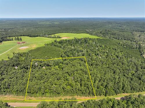 9 Acres, T-2, Highway 87, 1012 : Milam : Sabine County : Texas
