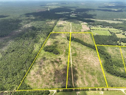 45 Acres, T-5, Sunflower Road, 0 : Dallardsville : Polk County : Texas