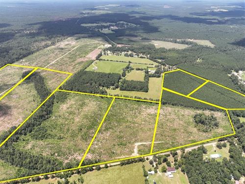 24 Acres, T-7, Sunflower Road, 0 : Dallardsville : Polk County : Texas