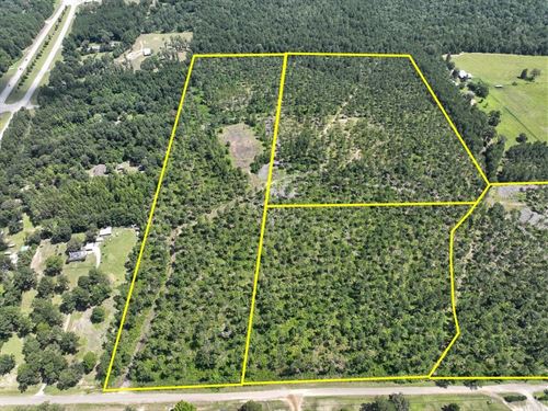 29 Acres, CR 257, T-1 : Jasper : Texas