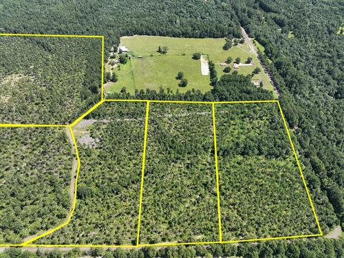 12 Acres, CR 257, T-5 : Jasper : Texas