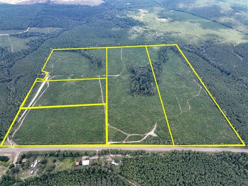 20 Acres, T-3, Rec Road 255, 287 : Browndell : Jasper County : Texas