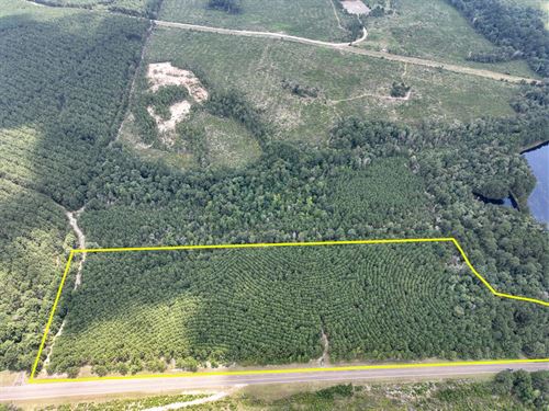 18 Acres, T-6, Rec Road 255, 287 : Browndell : Newton County : Texas