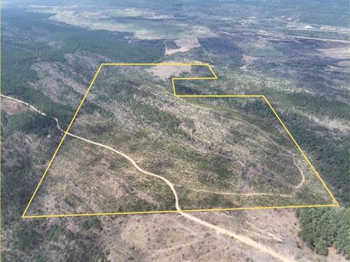 260 Acres, Oklahoma, Off N4220 : Antlers : Pushmataha County : Oklahoma
