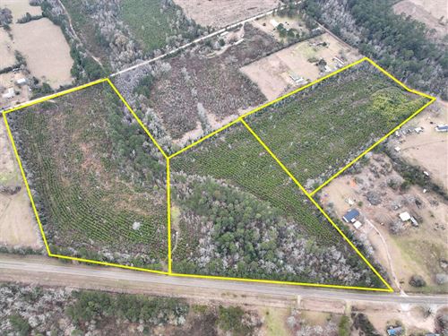 10 Acres, FM 2626 & County Road 20 : Newton : Texas