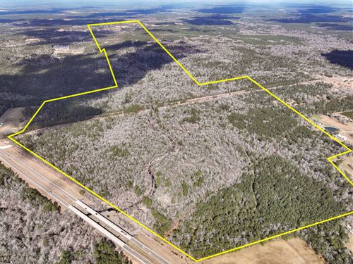 395 Acres, State Highway 69, 0152 : Kountze : Hardin County : Texas