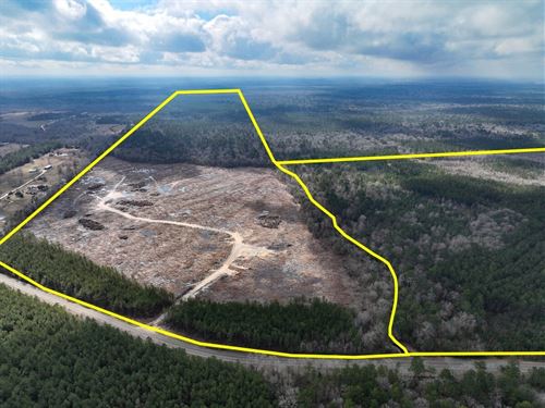 303 Acres, T-3, FM 421, 01058 : Lumberton : Hardin County : Texas