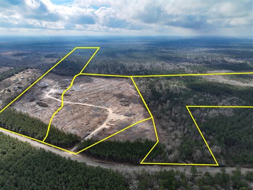 475 Acres, T-4, FM 421, 01058 : Lumberton : Hardin County : Texas