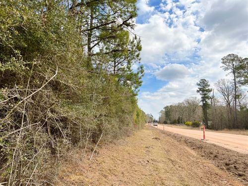 21 Acres, T-6, FM 1746 : Spurger : Tyler County : Texas