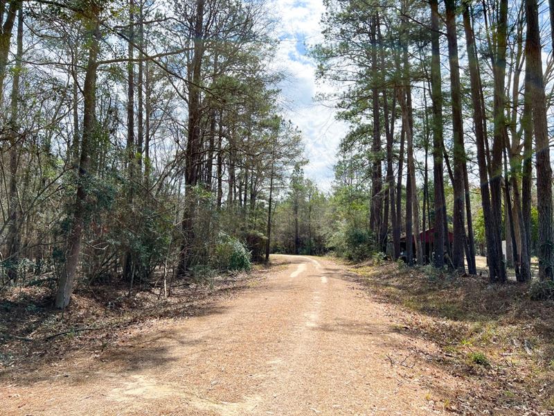 21 Acres, T-6, FM 1746 : Spurger : Tyler County : Texas
