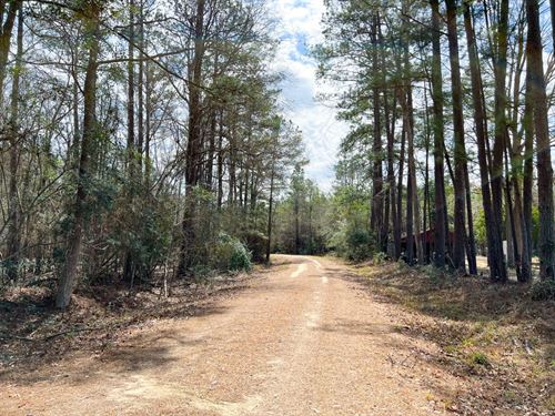 21 Acres, T-6, FM 1746 : Spurger : Tyler County : Texas