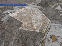 Wooded Tract Ready for Development : Elkton : Todd County : Kentucky