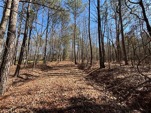 Private 7.4 Acre Home Site : Riverside : Saint Clair County : Alabama