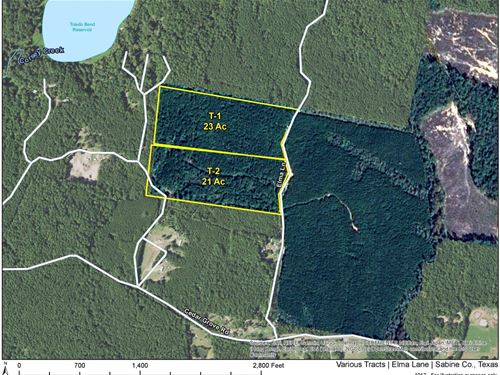 21 Acres, T-2, Elma Lane, 1017 : Milam : Sabine County : Texas