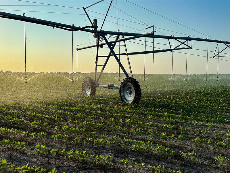 Brewster Farm, 1,229 Acres : Clarksville : Red River County : Texas