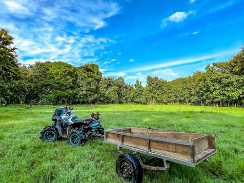 Beautiful and Spectacular Property : Paquera Puntarenas : Costa Rica