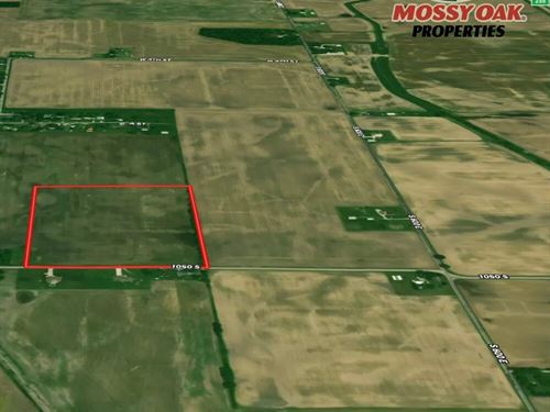 26 Acres, Fairmount, In, Grant Co : Fairmount : Grant County : Indiana