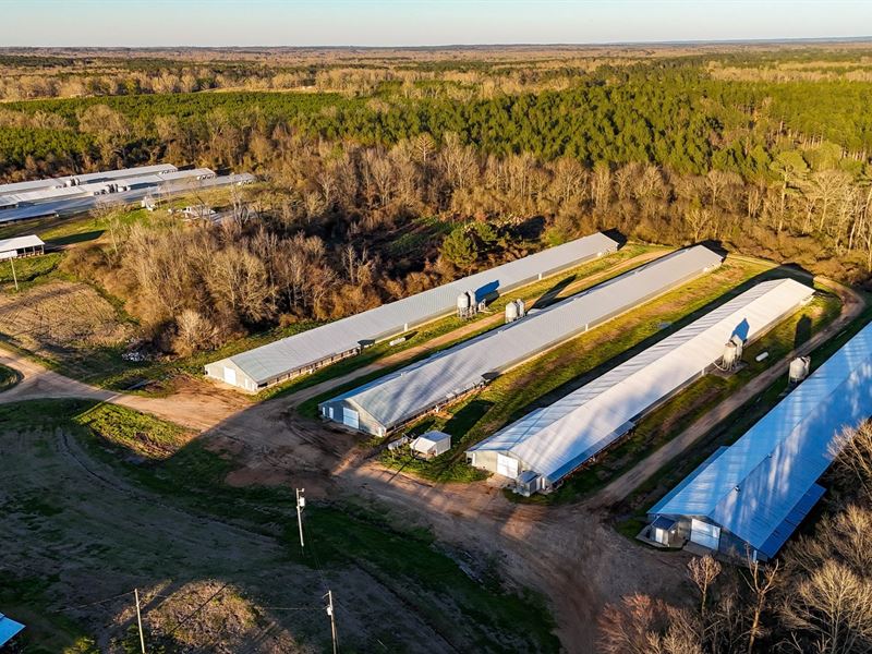 Price Reduced, Thang Broiler Farm : Wesson : Copiah County : Mississippi