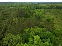159 Acres in Howard County, AR : Newhope : Howard County : Arkansas