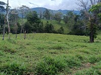 Opportunity Beautiful Farm : Costa Rica