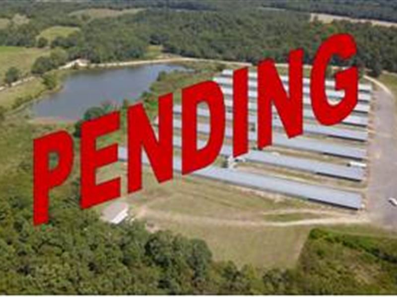 8 House Broiler Farm with 39 Acres : Mena : Polk County : Arkansas