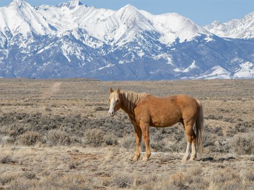 5.1Ac Tiny Homes & Rvs OK, No HOA : Blanca : Costilla County : Colorado