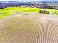 193 Ac Turn-Key Ranch With Home, Po : Greenville : Madison County : Florida