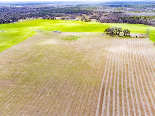 193 Ac Turn-Key Ranch With Home, Po : Greenville : Madison County : Florida