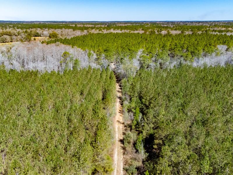 378 Ac Beautiful Recreational Tract : Chipley : Washington County : Florida