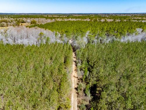 378 Ac Beautiful Recreational Tract : Chipley : Washington County : Florida