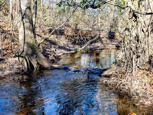 433 Ac Timberland Investment, Recre : Bonifay : Holmes County : Florida