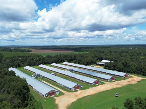 Upgraded 5 Hse Broiler Poultry Farm : Cochran : Bleckley County : Georgia