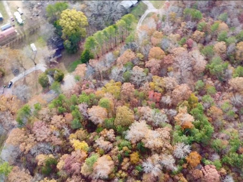 Great Homesite in Decatur AL : Decatur : Morgan County : Alabama