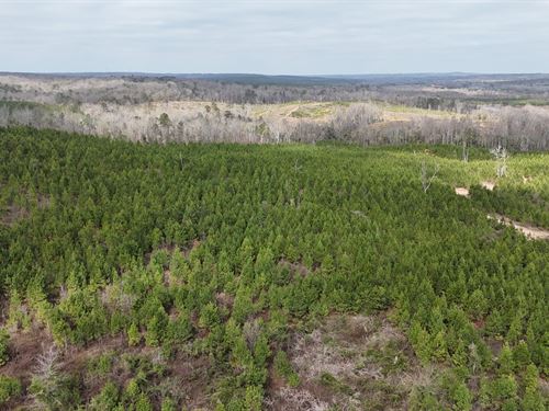 266.93 Acres, Deatsville, Autau : Deatsville : Autauga County : Alabama