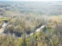 Prime Texas Hunting Land Sumner, TX : Sumner : Lamar County : Texas