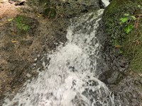 Beautiful Cattle Farm : Costa Rica