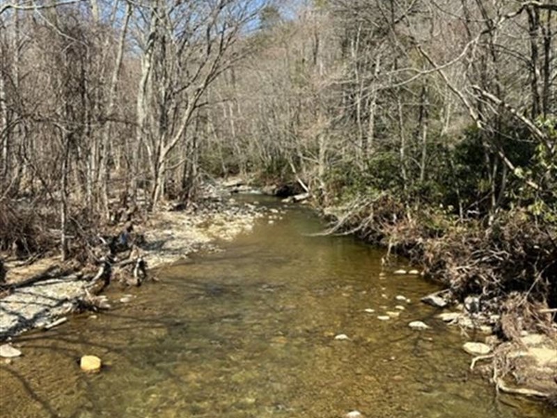 40 Acres, 2 Homes & Creek Frontage : Mouth Of Wilson : Grayson County : Virginia