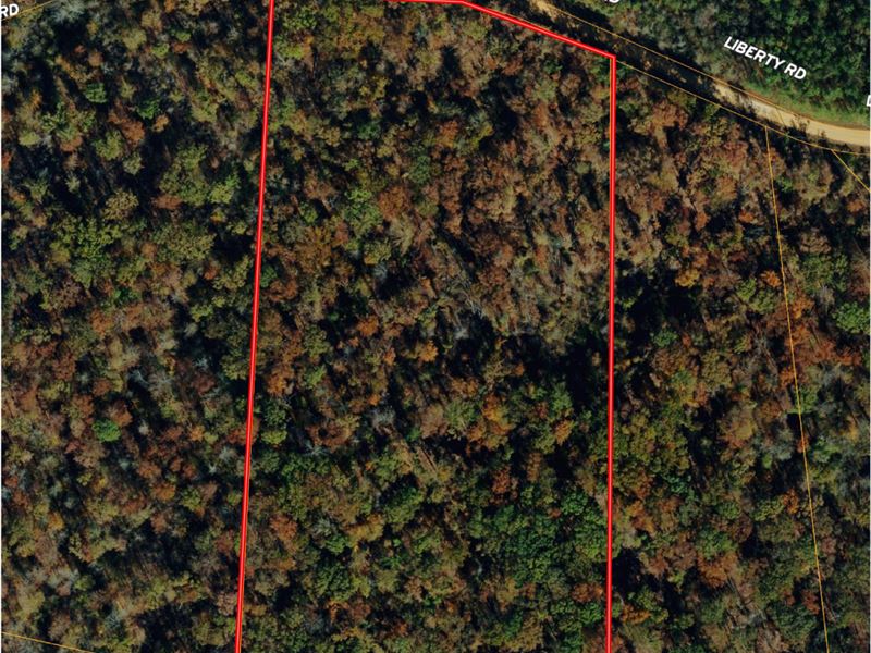 Wooded Land for Sale in TN : Morris Chapel : Hardin County : Tennessee