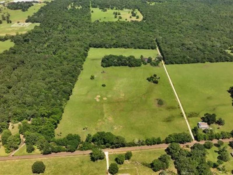 Schulze 59.17 : Palestine : Anderson County : Texas