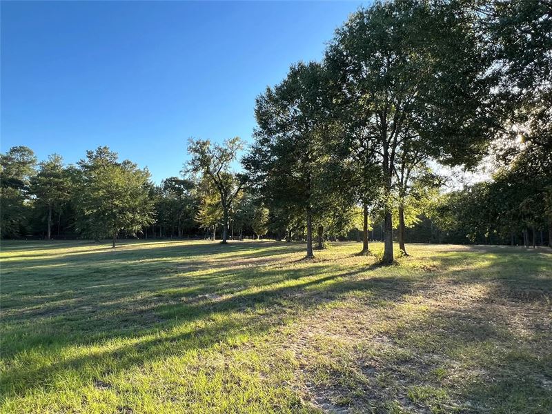 10 Acres in Waller, Texas : Waller : Waller County : Texas