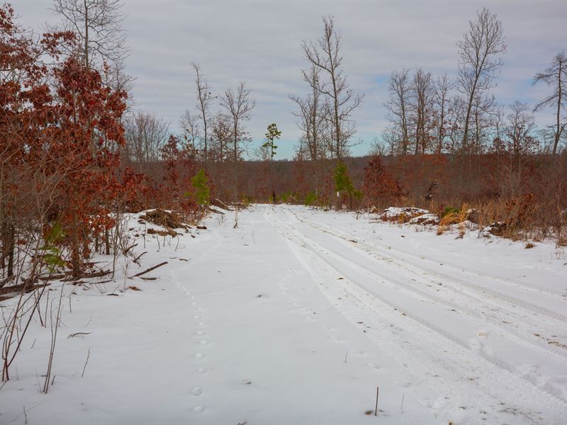 Invest in Land with $999 to Start : Hartshorn : Texas County : Missouri