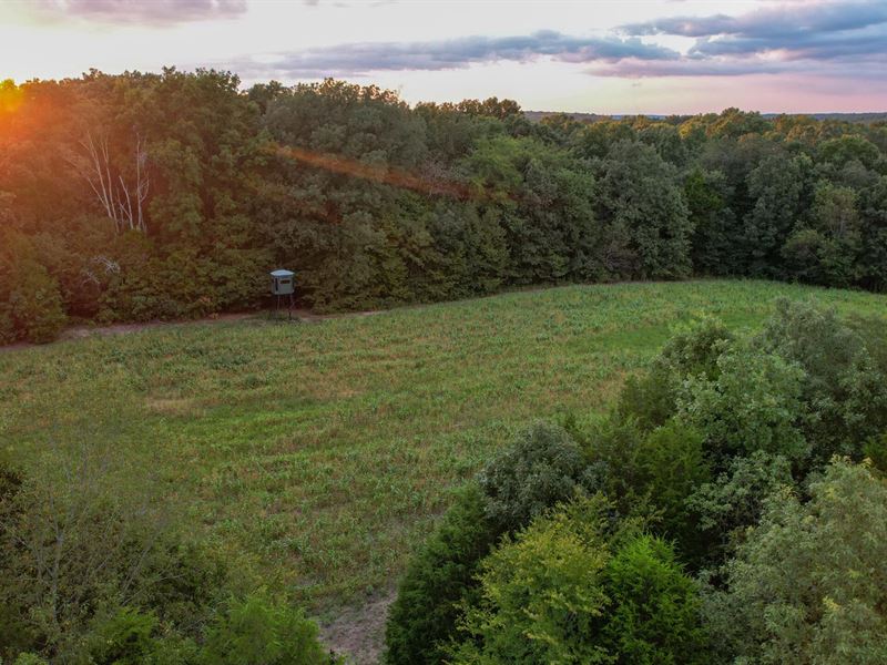 Yellow Creek Hunt and Retreat : Dickson : Dickson County : Tennessee