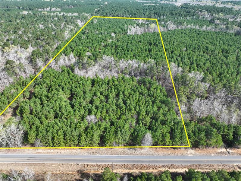 27.8 Acres, T-1, LA 168 Rodessa : Rodessa : Caddo Parish : Louisiana