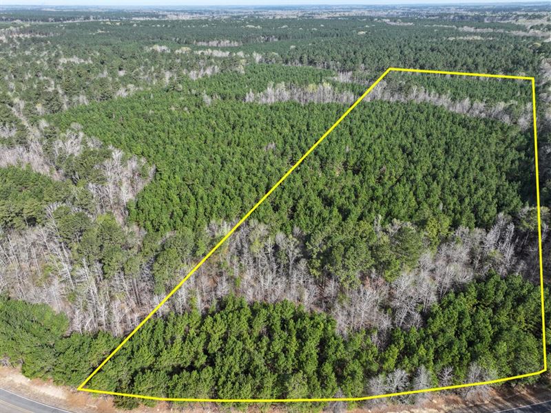 25 Acres, T-2, LA 168 Rodessa St : Rodessa : Caddo Parish : Louisiana