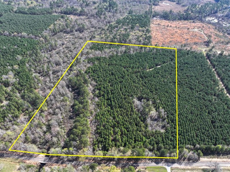 25.5 Acres, T-5, United Gas Road : Rodessa : Caddo Parish : Louisiana