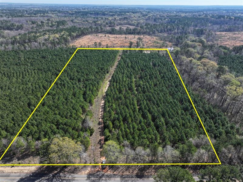 16.3 Acres, T-6, United Gas Road : Rodessa : Caddo Parish : Louisiana