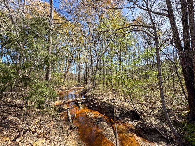 19.9 Acres, T-7, United Gas Road : Rodessa : Caddo Parish : Louisiana