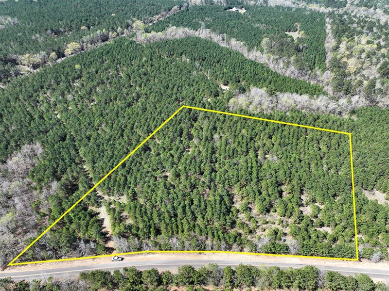 8.7 Acres, T-12, United Gas Road : Rodessa : Caddo Parish : Louisiana