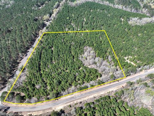 11 Acres, T-13, United Gas Road 1 : Rodessa : Caddo Parish : Louisiana